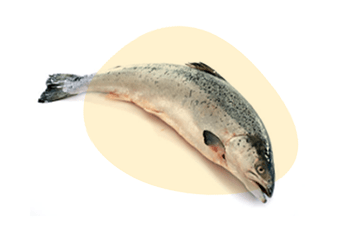 Fish is listed as one of the 14 major food allergens