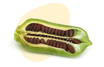 Sesame is listed as one of the 14 major food allergens